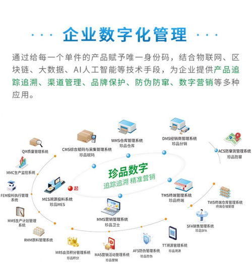 賦能管理，驅(qū)動(dòng)未來 珍品數(shù)字發(fā)布全新企業(yè)數(shù)字化解決方案與數(shù)據(jù)處理服務(wù)